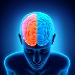 neuroscience of sales anchoring effect