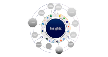 graphic showing the insights component of the Accelerate Sales Performance System