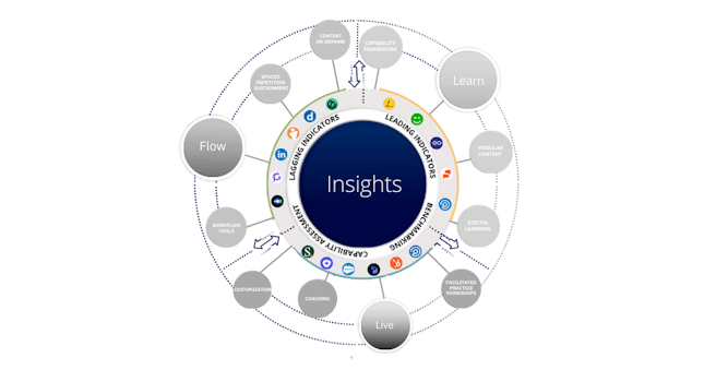 graphic showing the insights component of the Accelerate Sales Performance System