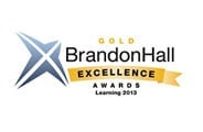 brandon hall award - excellence in sales training