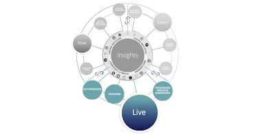 graphic showing the live component of the accelerate sales performance system which includes customization, coaching, and workshops