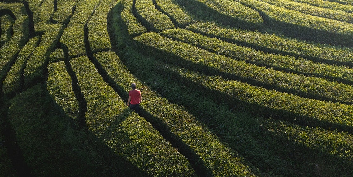 man walking through a grass maze as a metaphor for finding the path to the sale through better customer service